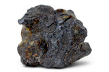 8.37g GRIZIM 003 Pallasite Meteorite