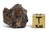8.53g GRIZIM 003 Pallasite Meteorite