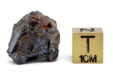 4.29g GRIZIM 003 Pallasite Meteorite
