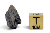 4.29g GRIZIM 003 Pallasite Meteorite
