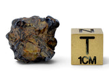 4.42g GRIZIM 003 Pallasite Meteorite
