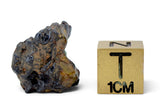 4.42g GRIZIM 003 Pallasite Meteorite