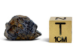 4.42g GRIZIM 003 Pallasite Meteorite