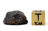 4.43g GRIZIM 003 Pallasite Meteorite