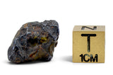 4.43g GRIZIM 003 Pallasite Meteorite