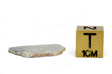 0.81g TOUAT 005 Lunar Meteorite Slice