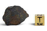 6.43g R Chondrite Meteorite - R4 Breccia I Ultra Rare Chondrite NWA 11304