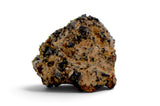 0.29g Angrite I Rare Differentiated Meteorite - NWA 10646