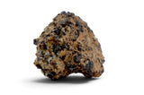 0.29g Angrite I Rare Differentiated Meteorite - NWA 10646
