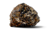 0.29g Angrite I Rare Differentiated Meteorite - NWA 10646