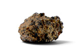 0.29g Angrite I Rare Differentiated Meteorite - NWA 10646