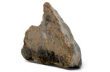 2.96g Lunar Meteorite beautiful end piece I NWA 14041