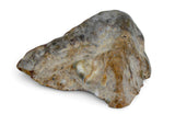 2.96g Lunar Meteorite beautiful end piece I NWA 14041