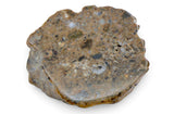 3.35g Lunar Meteorite beautiful end piece I NWA 14041