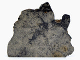 57.05g Eucrite Breccia end slice I HED Northeast Africa 110