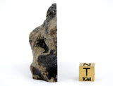 57.05g Eucrite Breccia end slice I HED Northeast Africa 110