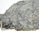 16.10g Eucrite Breccia Slice I HED Northeast Africa 110