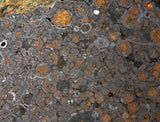 16.04g CR2 Carbonaceous Chondrite Meteorite Slice I NEA 111