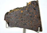 16.04g CR2 Carbonaceous Chondrite Meteorite Slice I NEA 111