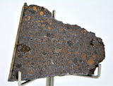 16.04g CR2 Carbonaceous Chondrite Meteorite Slice I NEA 111