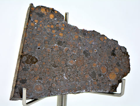 16.04g CR2 Carbonaceous Chondrite Meteorite Slice I NEA 111