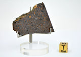 16.04g CR2 Carbonaceous Chondrite Meteorite Slice I NEA 111