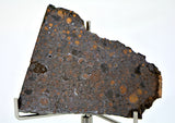 16.04g CR2 Carbonaceous Chondrite Meteorite Slice I NEA 111