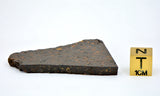 16.04g CR2 Carbonaceous Chondrite Meteorite Slice I NEA 111