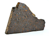 17.58g CR2 Carbonaceous Chondrite Meteorite Slice I NEA 111