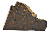 17.58g CR2 Carbonaceous Chondrite Meteorite Slice I NEA 111