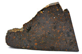 17.58g CR2 Carbonaceous Chondrite Meteorite Slice I NEA 111