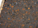17.58g CR2 Carbonaceous Chondrite Meteorite Slice I NEA 111