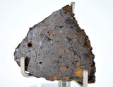 3.10g CR2 Carbonaceous Chondrite Meteorite Slice I NEA 111