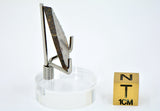3.10g CR2 Carbonaceous Chondrite Meteorite Slice I NEA 111