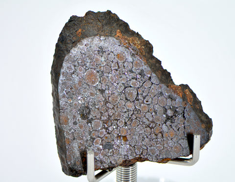 5.75g CR2 Carbonaceous Chondrite Meteorite Slice I NEA 111