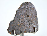 5.75g CR2 Carbonaceous Chondrite Meteorite Slice I NEA 111