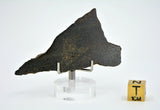 18.55g NORTHBRANCH - H5 Chondrite I Kansas Find 1972
