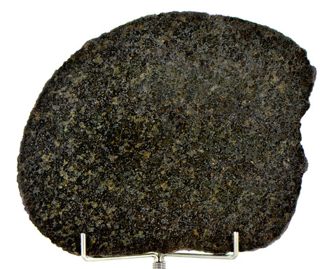 47.10g Ureilite Augite-bearing Achondrite Meteorite Slice I NWA 11900