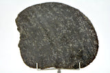 47.10g Ureilite Augite-bearing Achondrite Meteorite Slice I NWA 11900