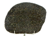 48.73g Ureilite Augite-bearing Achondrite Meteorite Slice I NWA 11900