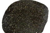 48.73g Ureilite Augite-bearing Achondrite Meteorite Slice I NWA 11900