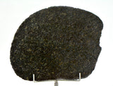 51.95g Ureilite Augite-bearing Achondrite Meteorite Slice I NWA 11900