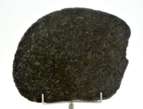 51.95g Ureilite Augite-bearing Achondrite Meteorite Slice I NWA 11900