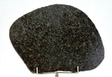 58.21g Ureilite Augite-bearing Achondrite Meteorite Slice I NWA 11900