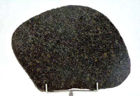 58.21g Ureilite Augite-bearing Achondrite Meteorite Slice I NWA 11900