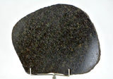58.21g Ureilite Augite-bearing Achondrite Meteorite Slice I NWA 11900
