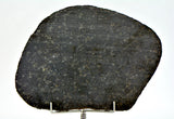 58.21g Ureilite Augite-bearing Achondrite Meteorite Slice I NWA 11900