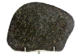 94.33g Ureilite Augite-bearing Achondrite Meteorite Slice I NWA 11900