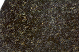 94.33g Ureilite Augite-bearing Achondrite Meteorite Slice I NWA 11900