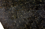 94.33g Ureilite Augite-bearing Achondrite Meteorite Slice I NWA 11900
